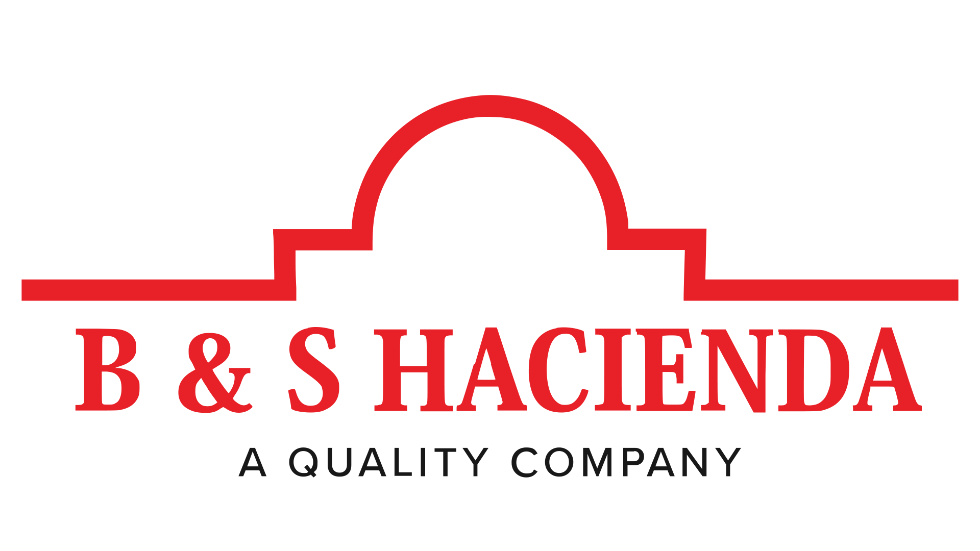 BNS Logo